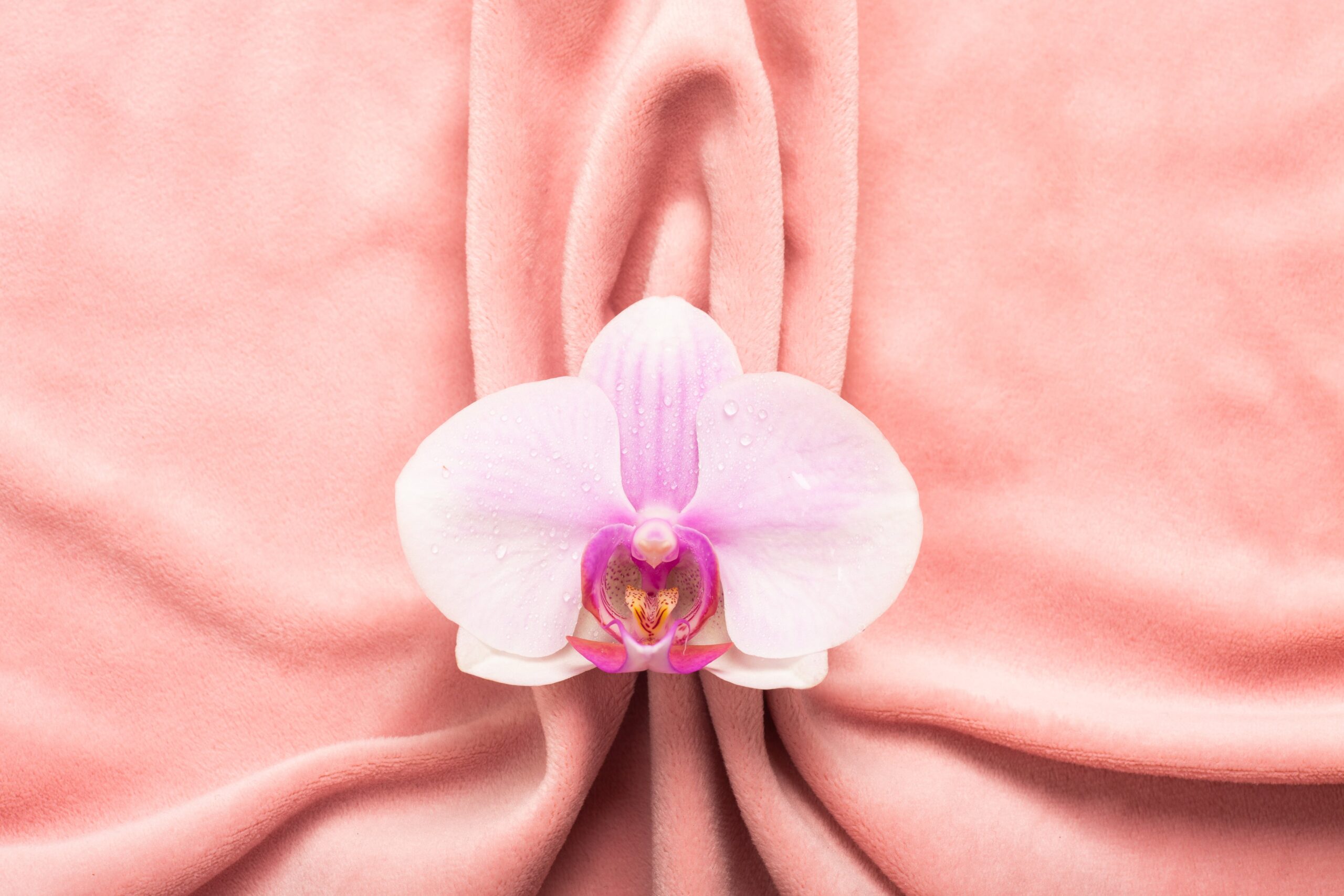 Pink soft tissue in the form